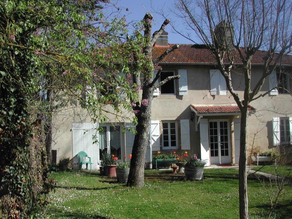 Asinus 32 Bed & Breakfast Viozan Bagian luar foto