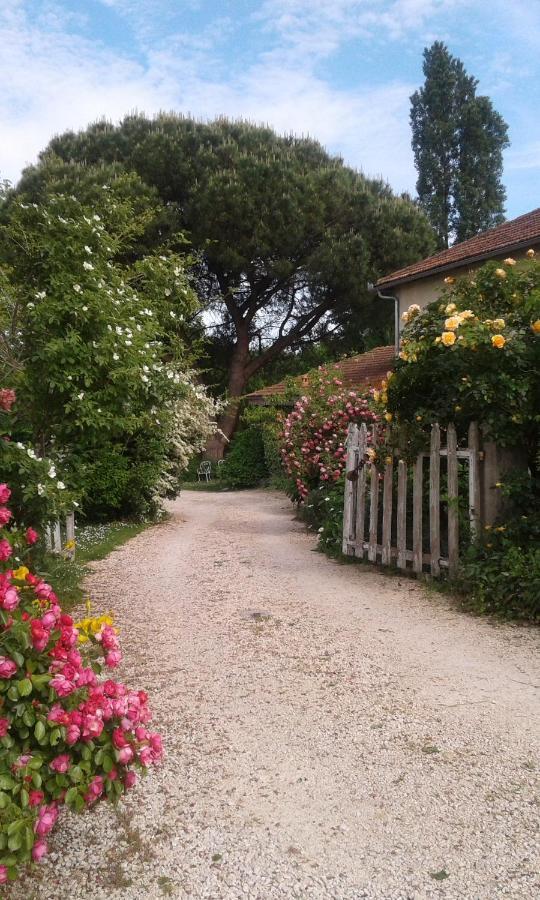 Asinus 32 Bed & Breakfast Viozan Bagian luar foto