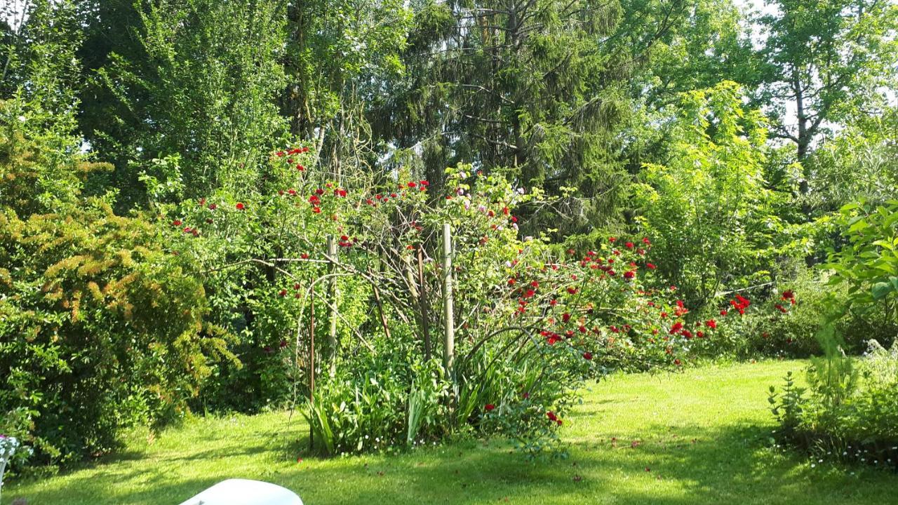 Asinus 32 Bed & Breakfast Viozan Bagian luar foto