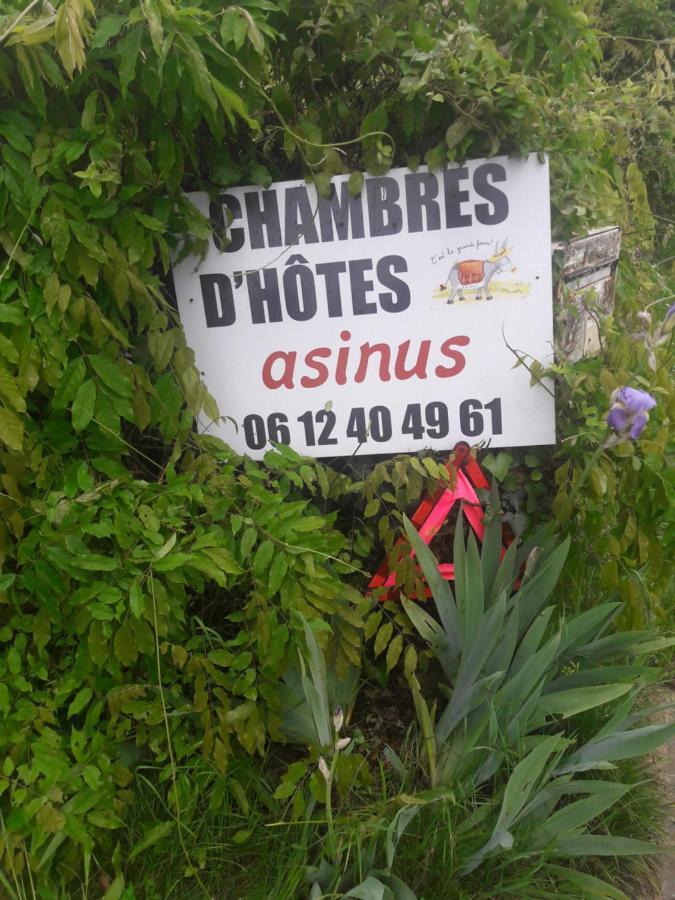 Asinus 32 Bed & Breakfast Viozan Bagian luar foto
