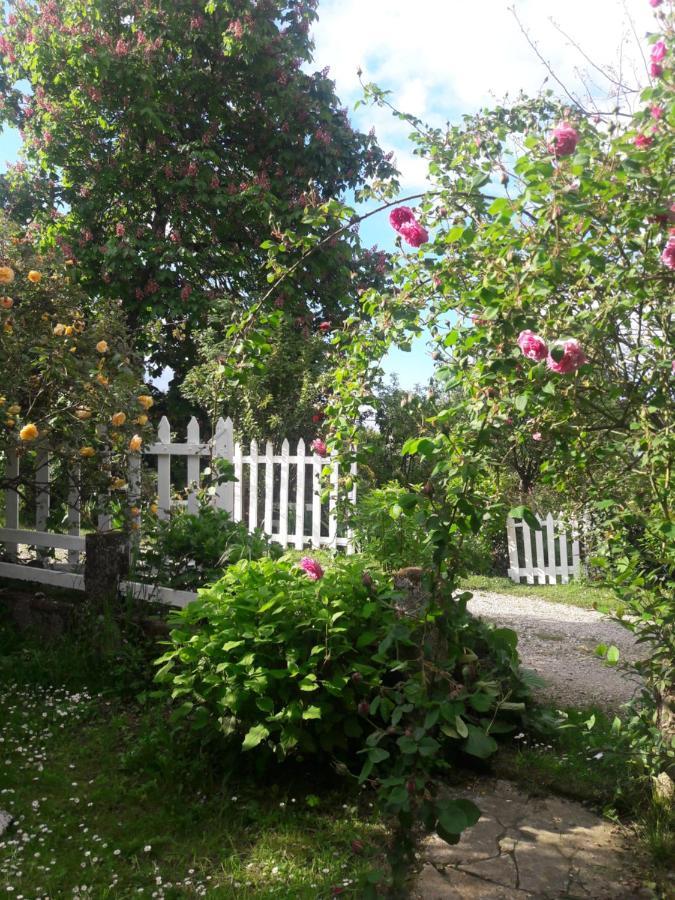 Asinus 32 Bed & Breakfast Viozan Bagian luar foto